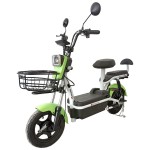 Велосипед з електромотором SPARK CITY 14`` 48V/500W/20Ah зелений